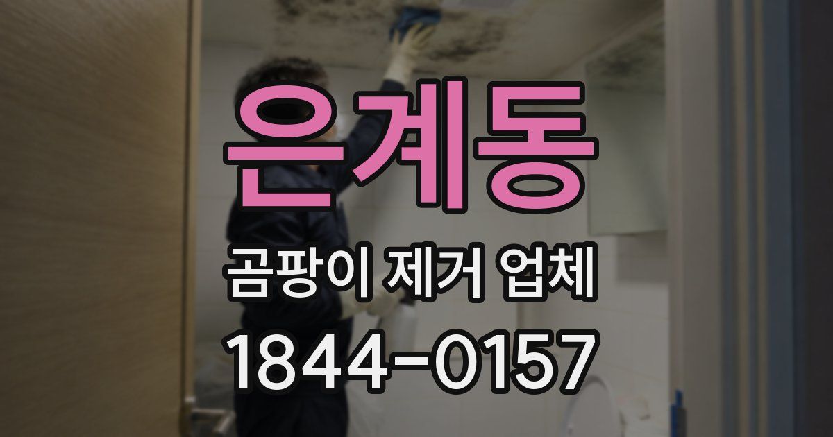 은계동 곰팡이 제거 업체