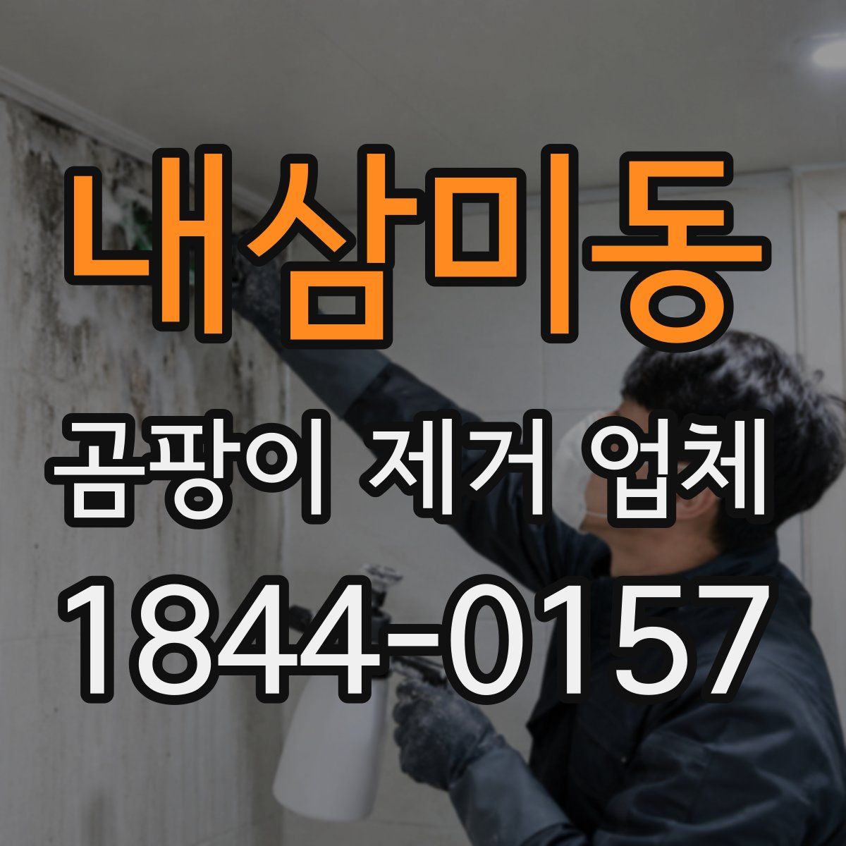 내삼미동 곰팡이 제거 업체