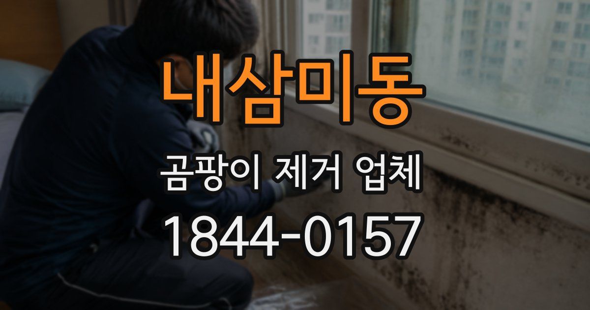 내삼미동 곰팡이 제거 업체