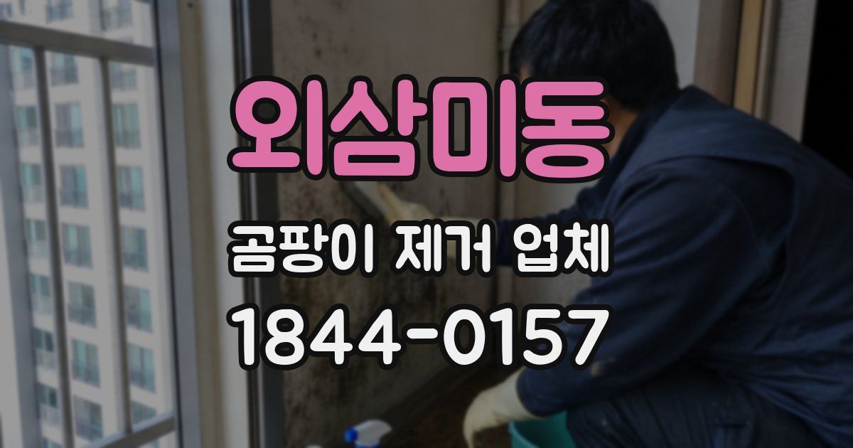 외삼미동 곰팡이 제거 업체