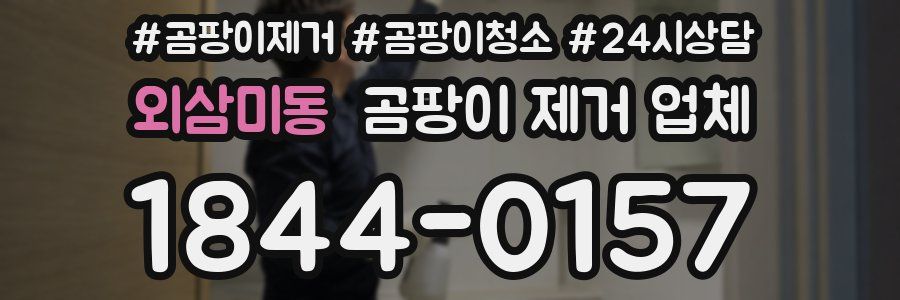 외삼미동 곰팡이 제거 업체