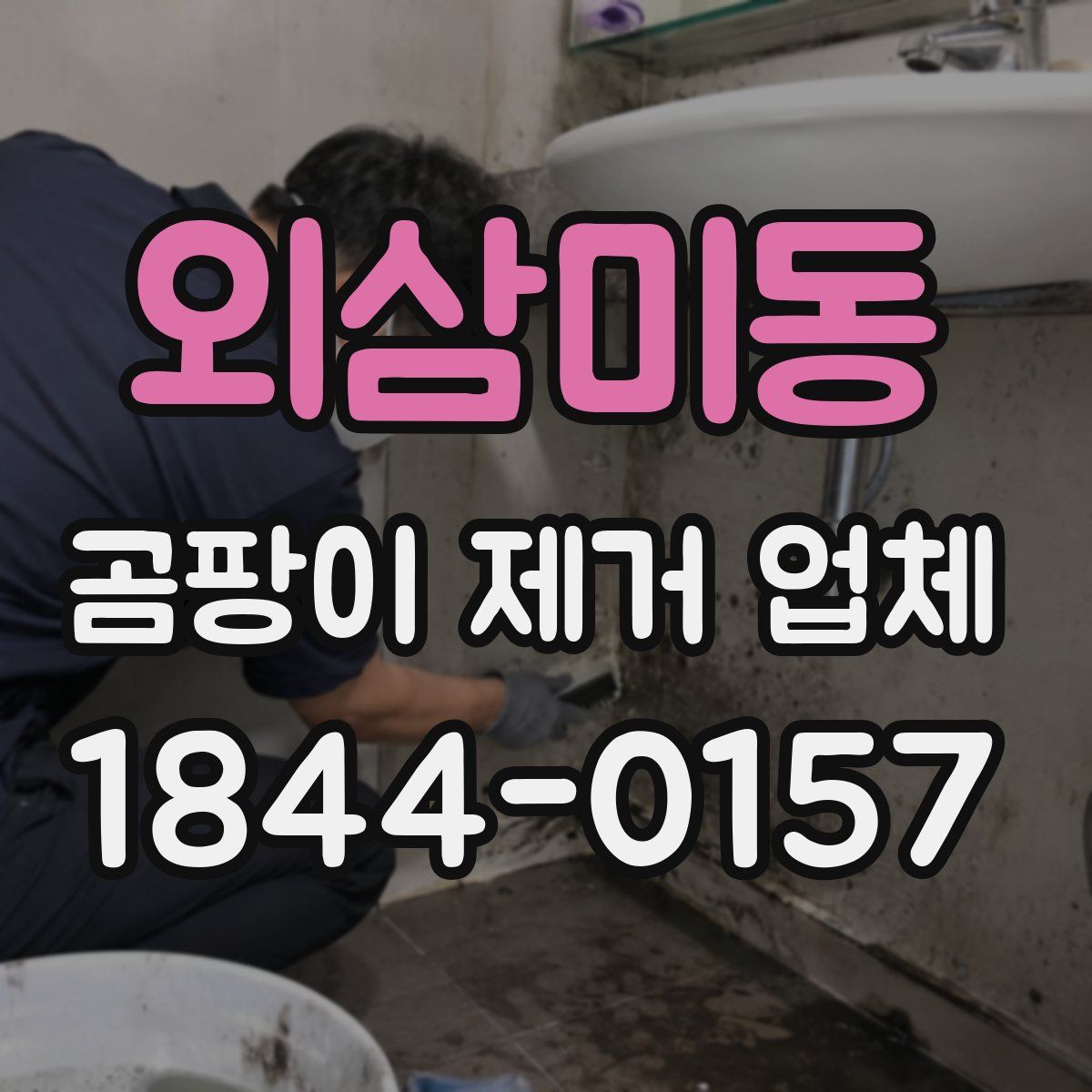 외삼미동 곰팡이 제거 업체