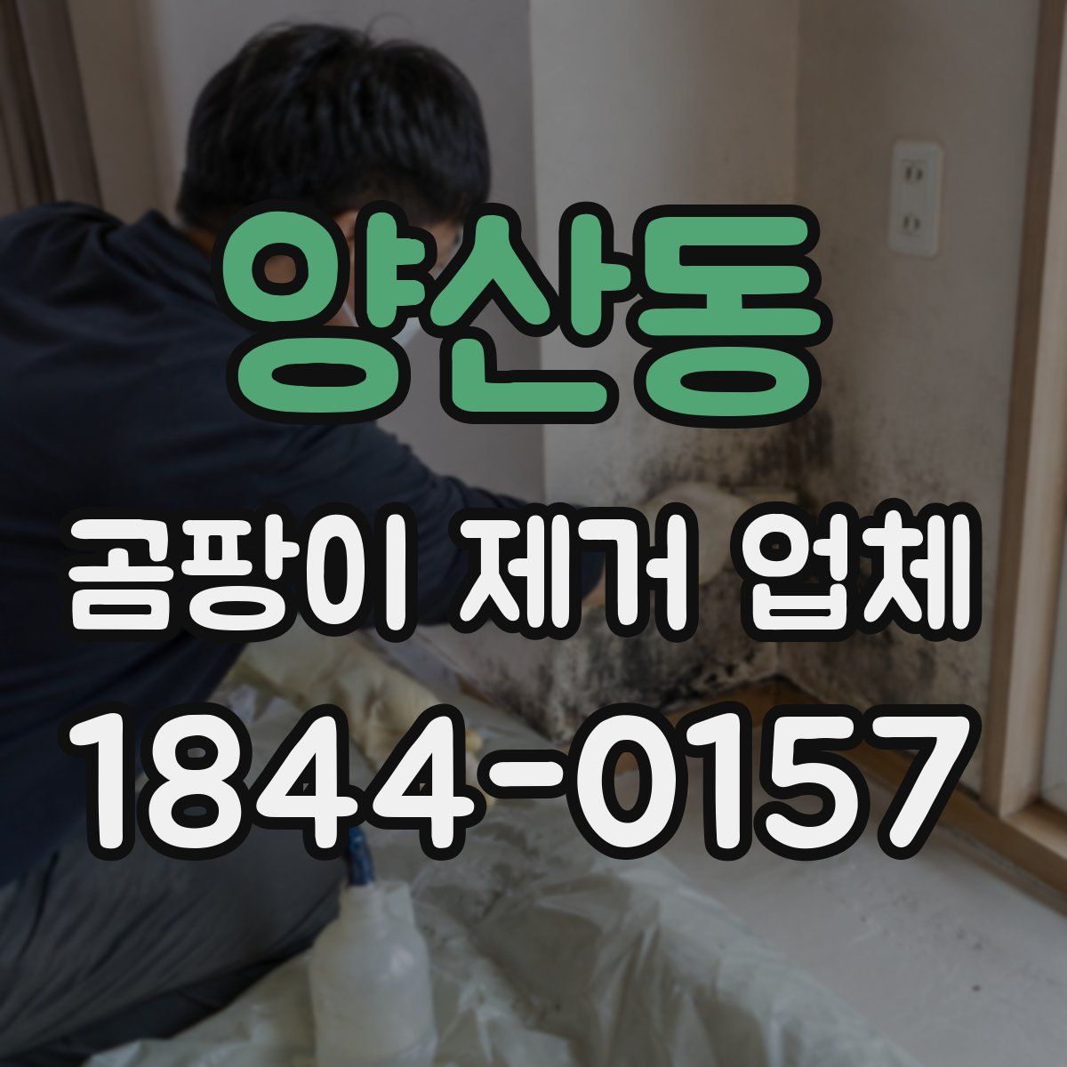 양산동 곰팡이 제거 업체