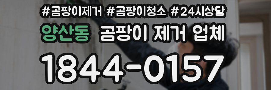 양산동 곰팡이 제거 업체