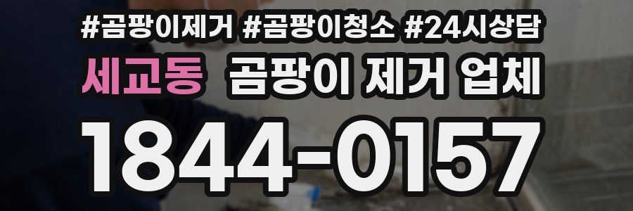 세교동 곰팡이 제거 업체