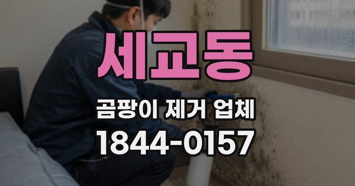 세교동 곰팡이 제거 업체