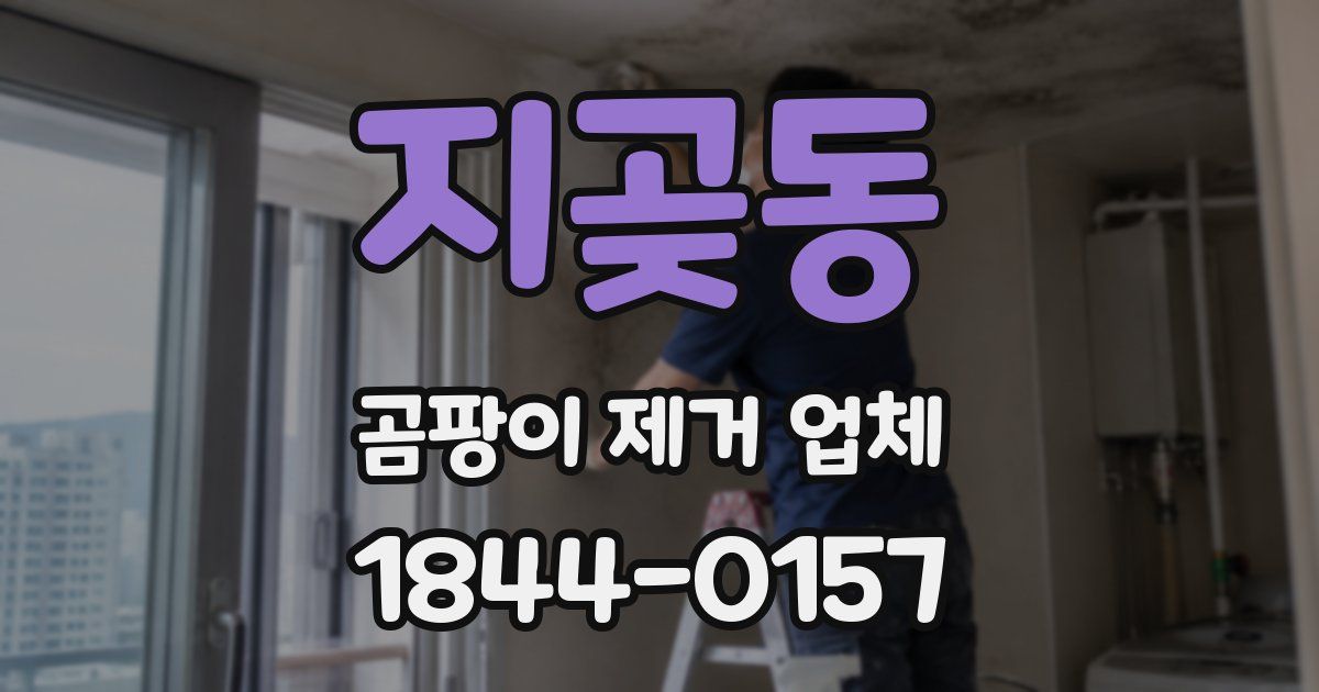 지곶동 곰팡이 제거 업체