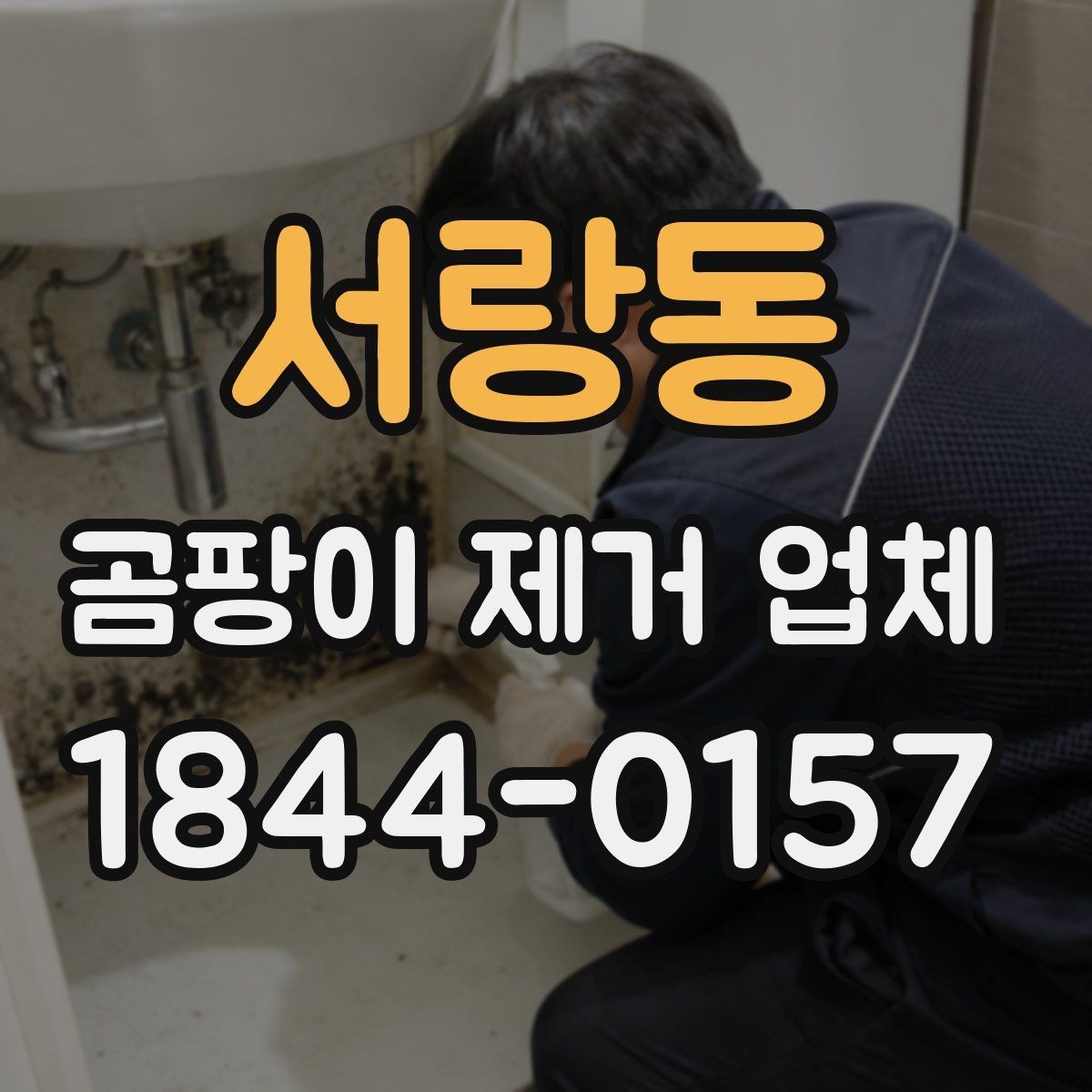 서랑동 곰팡이 제거 업체 결로 자국과 표면 오염을 구분하는 상담 포인트