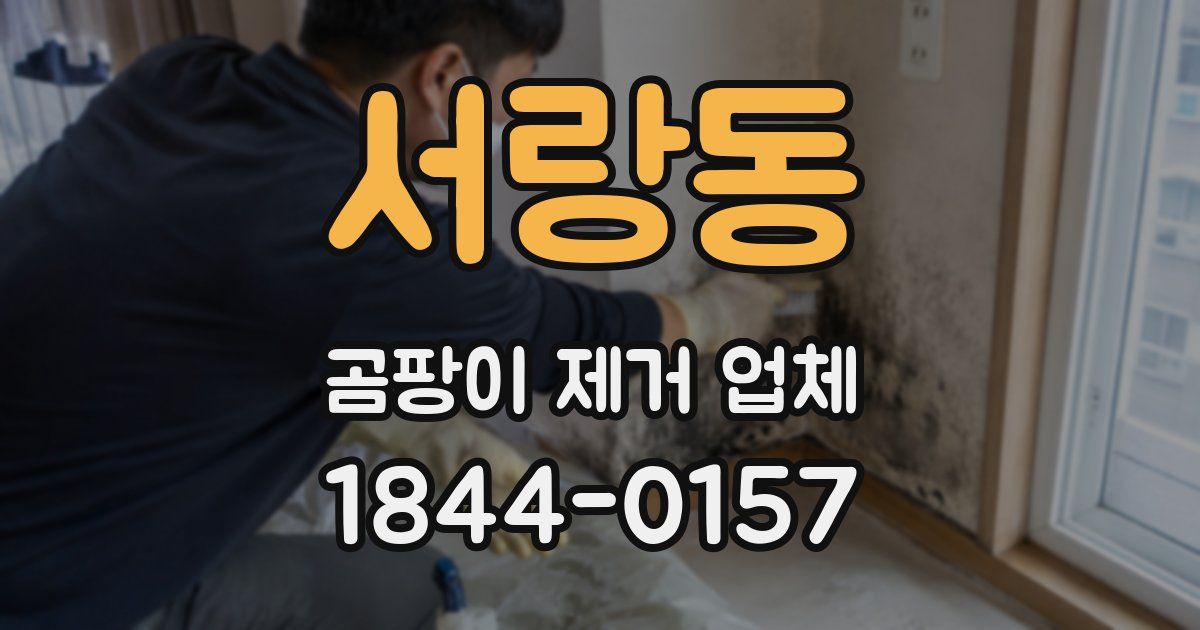 서랑동 곰팡이 제거 업체