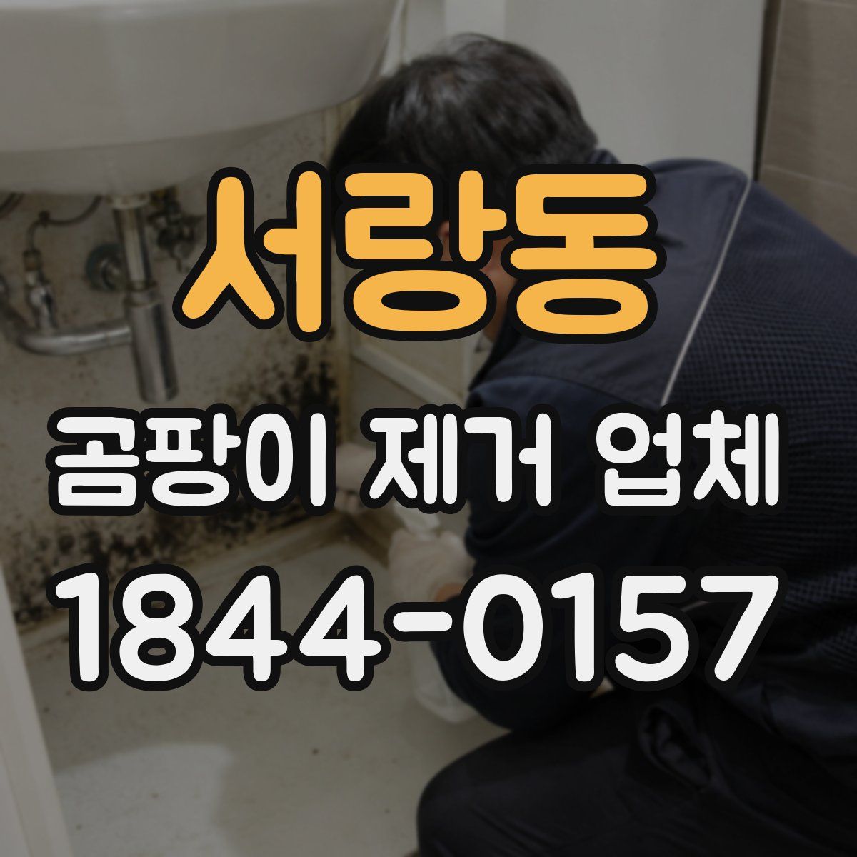 서랑동 곰팡이 제거 업체