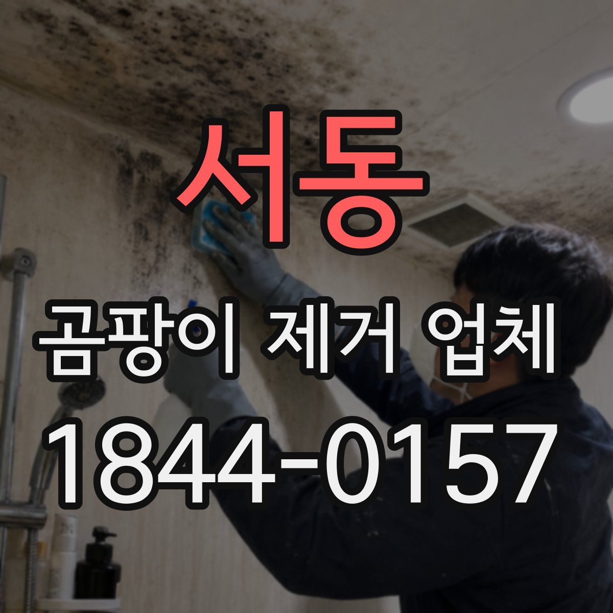 서동 곰팡이 제거 업체