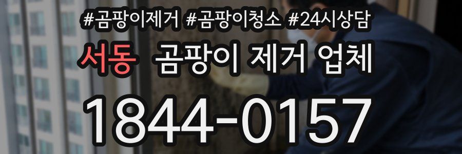 서동 곰팡이 제거 업체