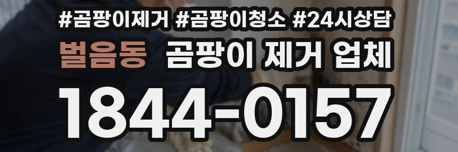 벌음동 곰팡이 제거 업체