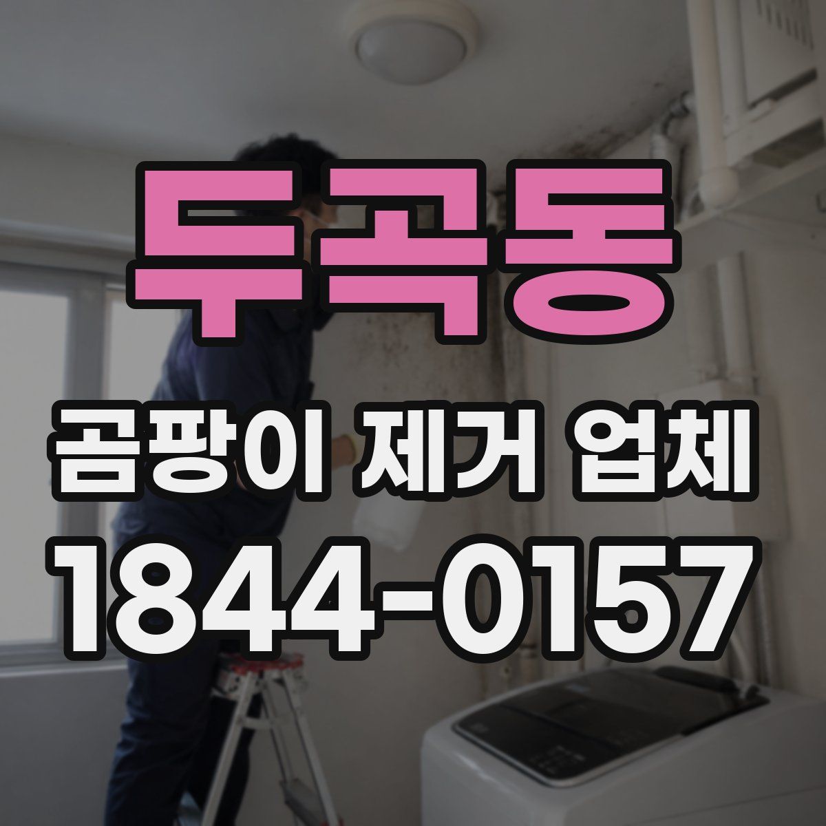 두곡동 곰팡이 제거 업체