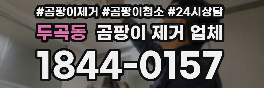 두곡동 곰팡이 제거 업체
