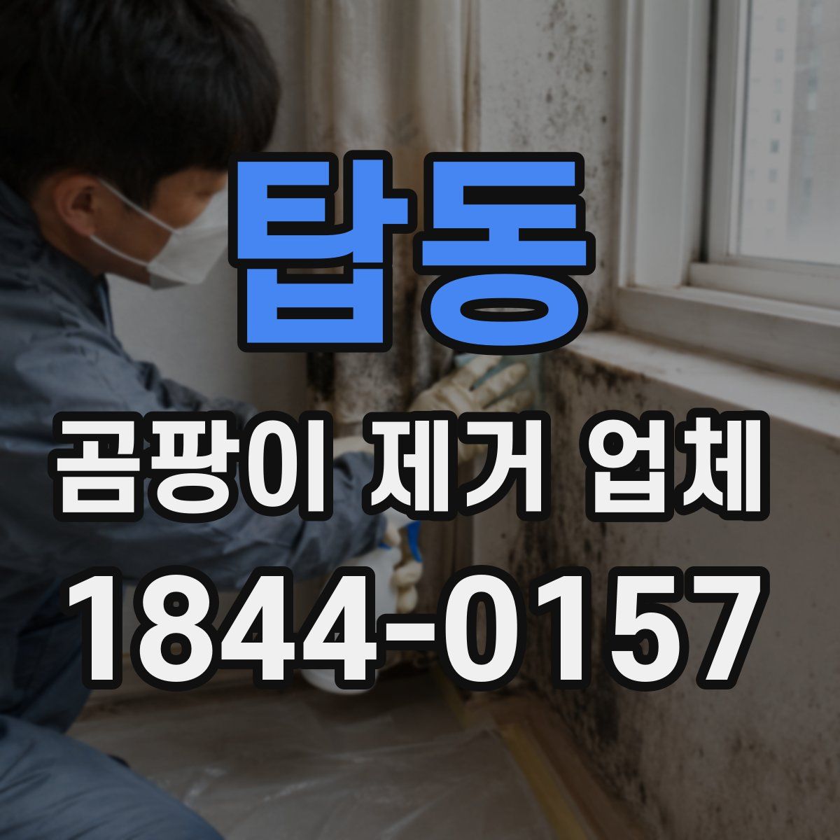 탑동 곰팡이 제거 업체