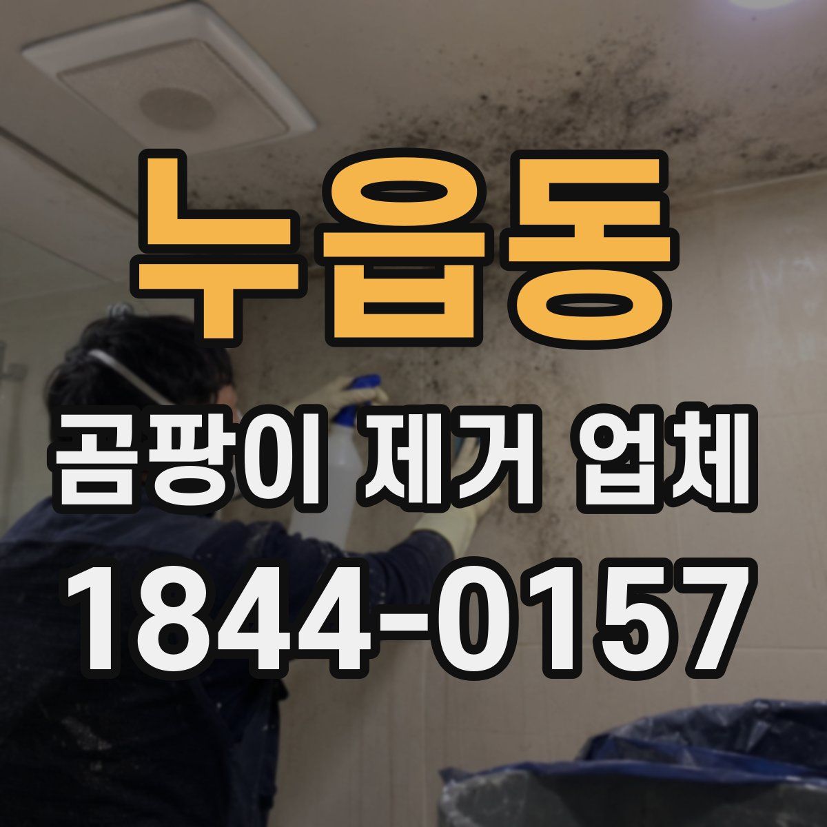 누읍동 곰팡이 제거 업체