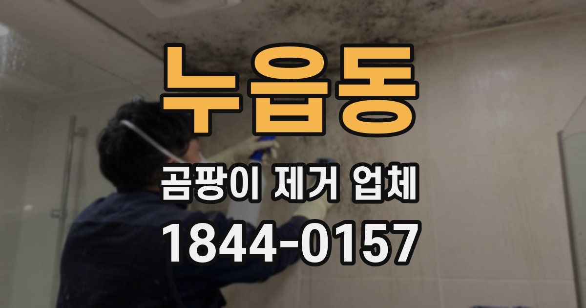 누읍동 곰팡이 제거 업체