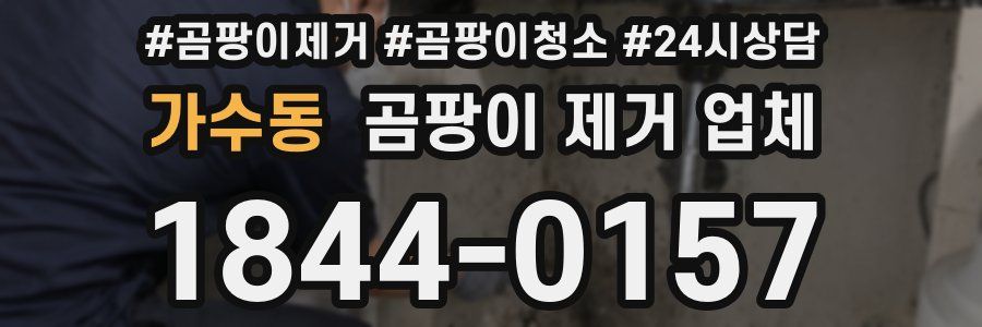 가수동 곰팡이 제거 업체