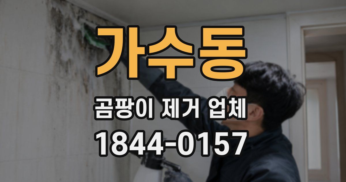가수동 곰팡이 제거 업체