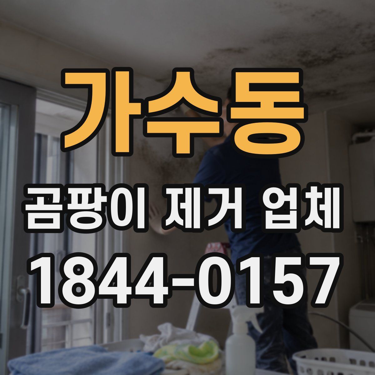 가수동 곰팡이 제거 업체