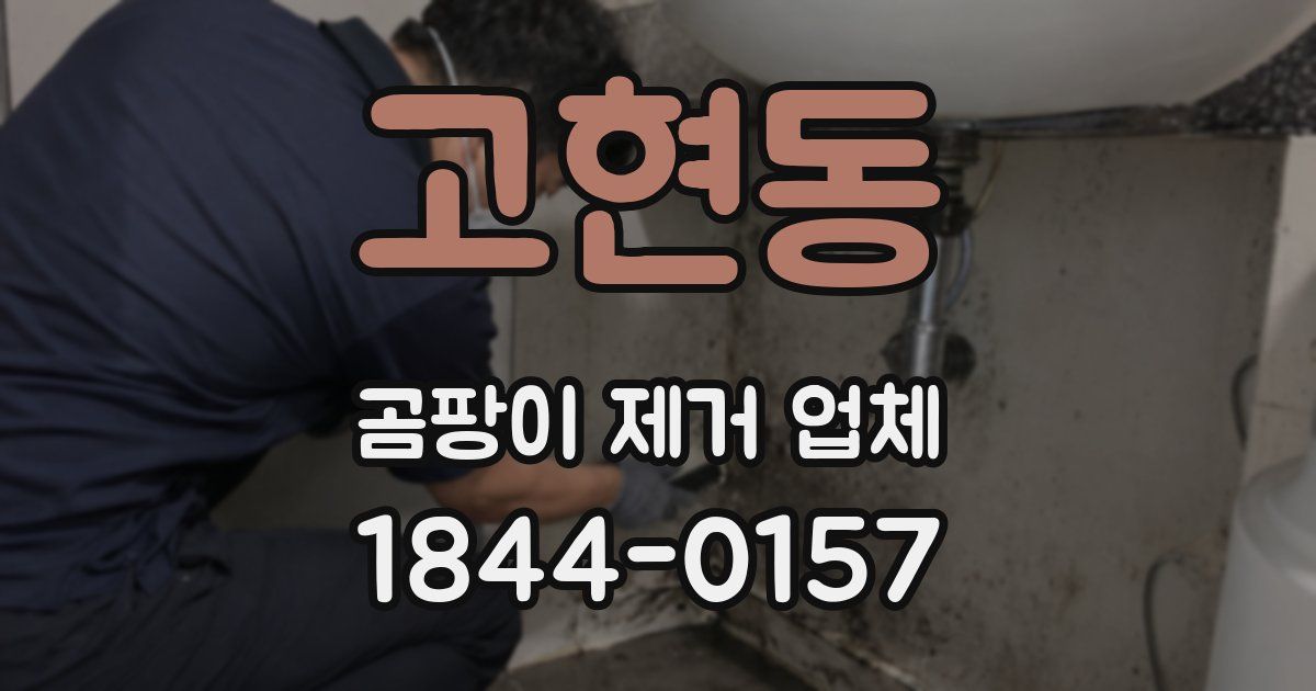 고현동 곰팡이 제거 업체