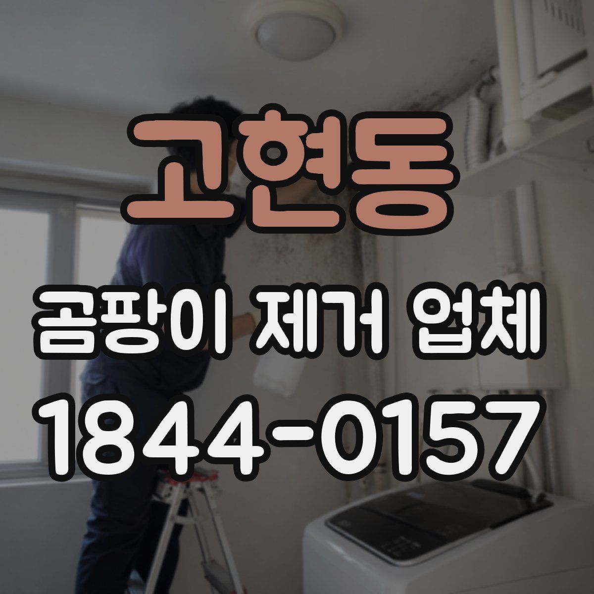 고현동 곰팡이 제거 업체