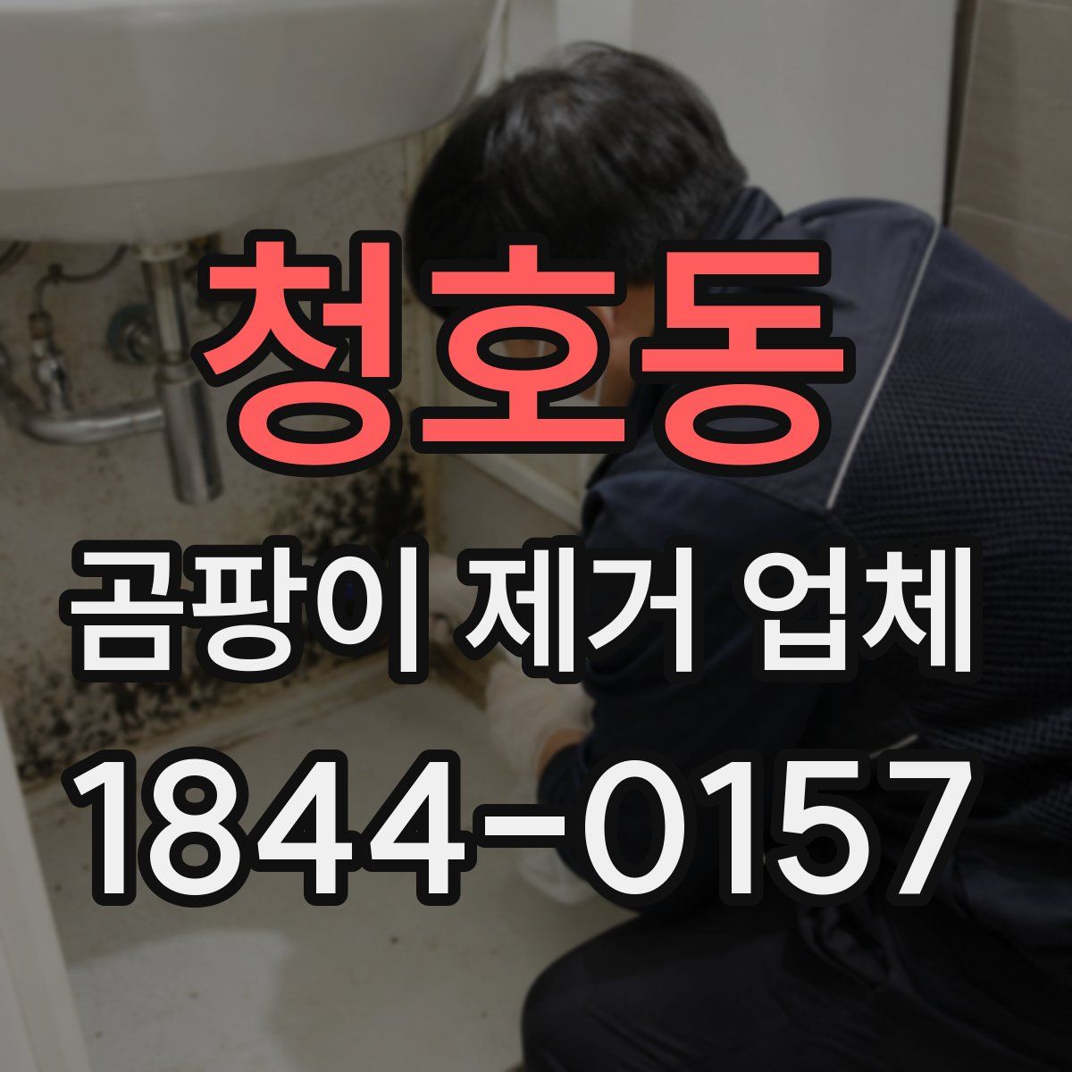 청호동 곰팡이 제거 업체