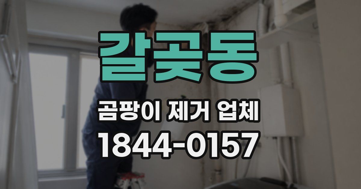 갈곶동 곰팡이 제거 업체