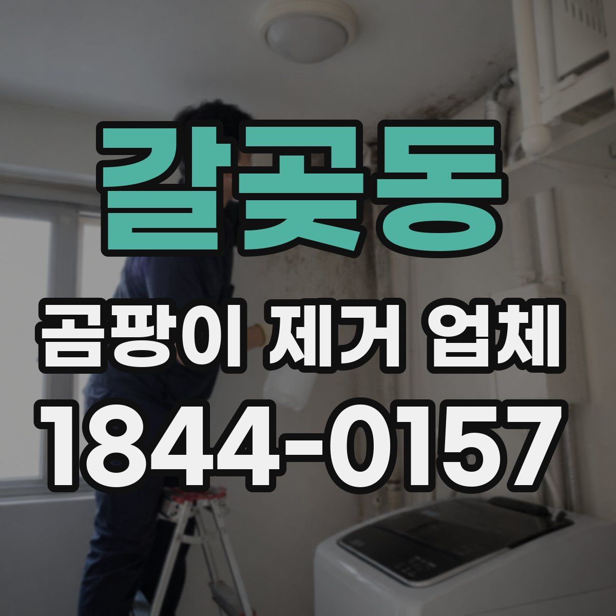 갈곶동 곰팡이 제거 업체