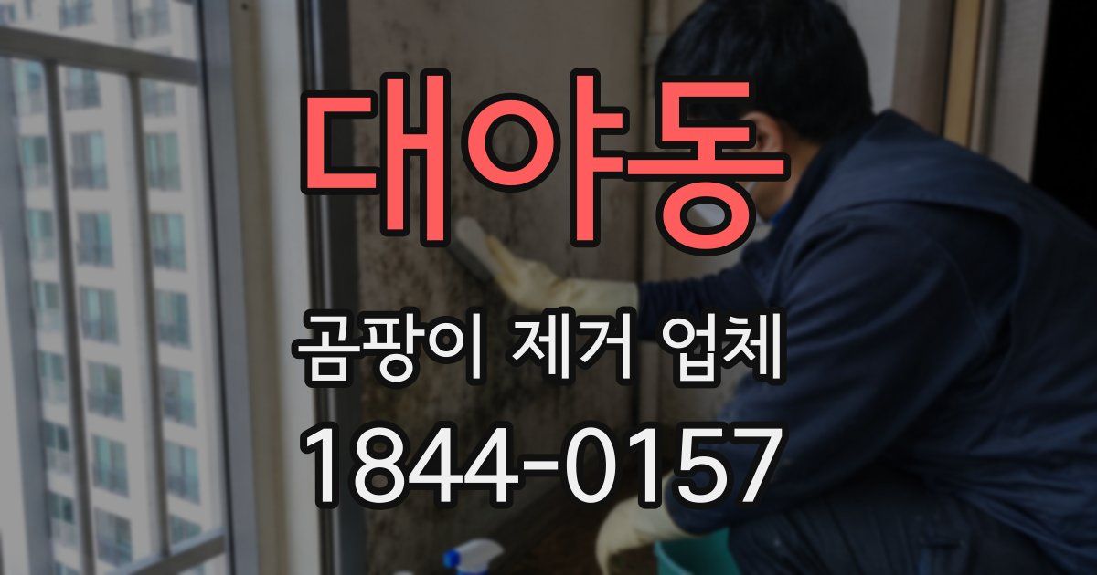 대야동 곰팡이 제거 업체