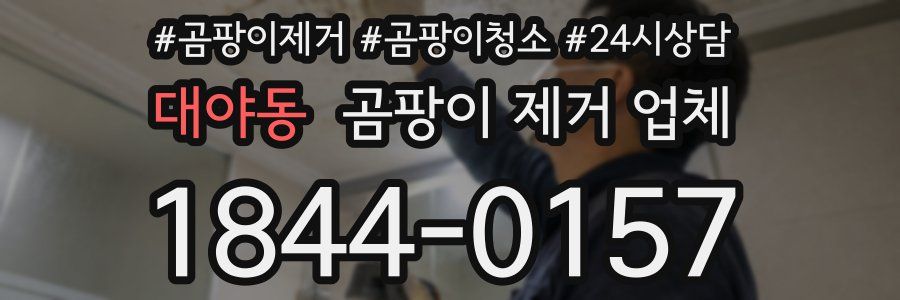 대야동 곰팡이 제거 업체