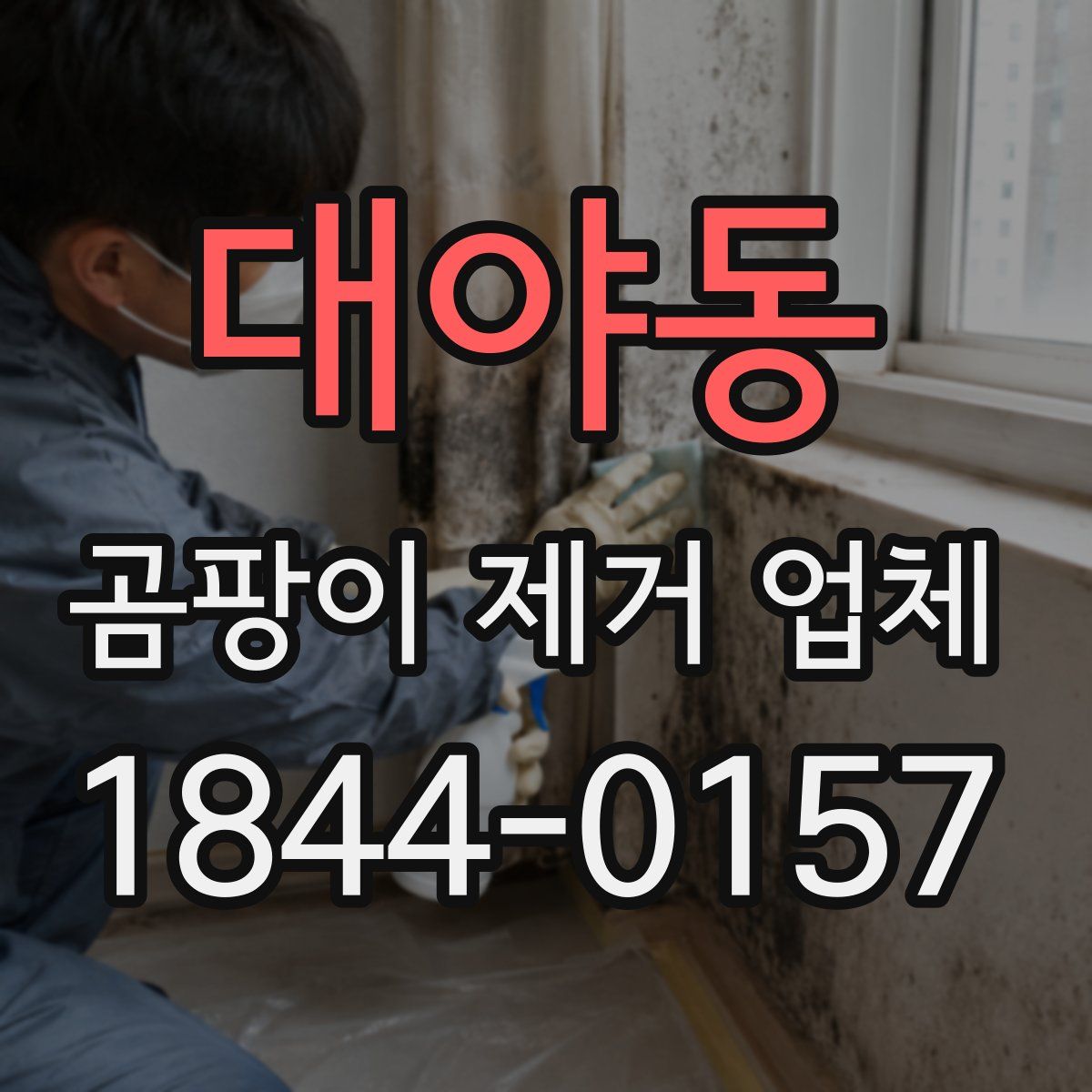대야동 곰팡이 제거 업체