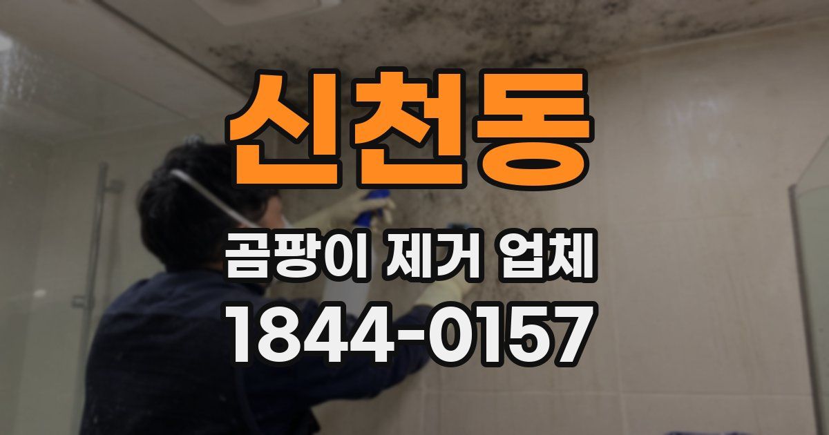 신천동 곰팡이 제거 업체