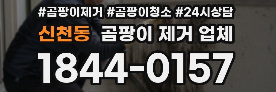 신천동 곰팡이 제거 업체