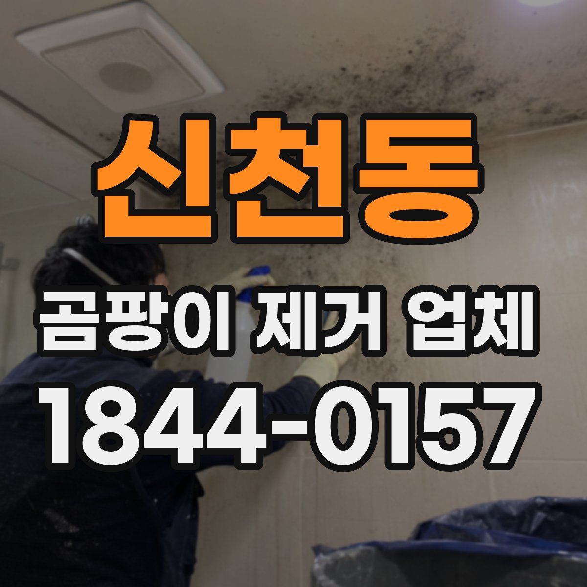 신천동 곰팡이 제거 업체