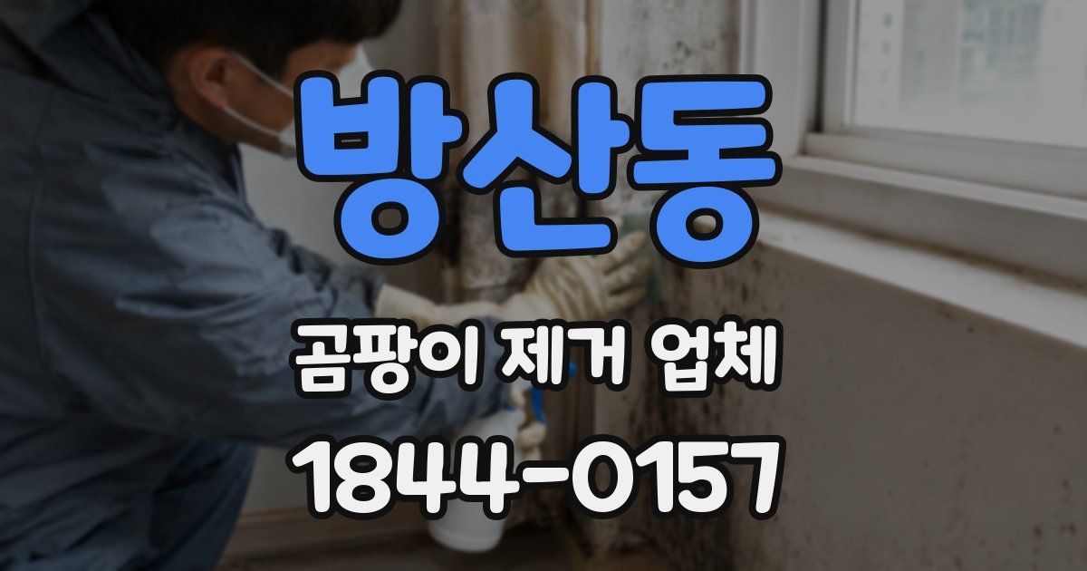 방산동 곰팡이 제거 업체