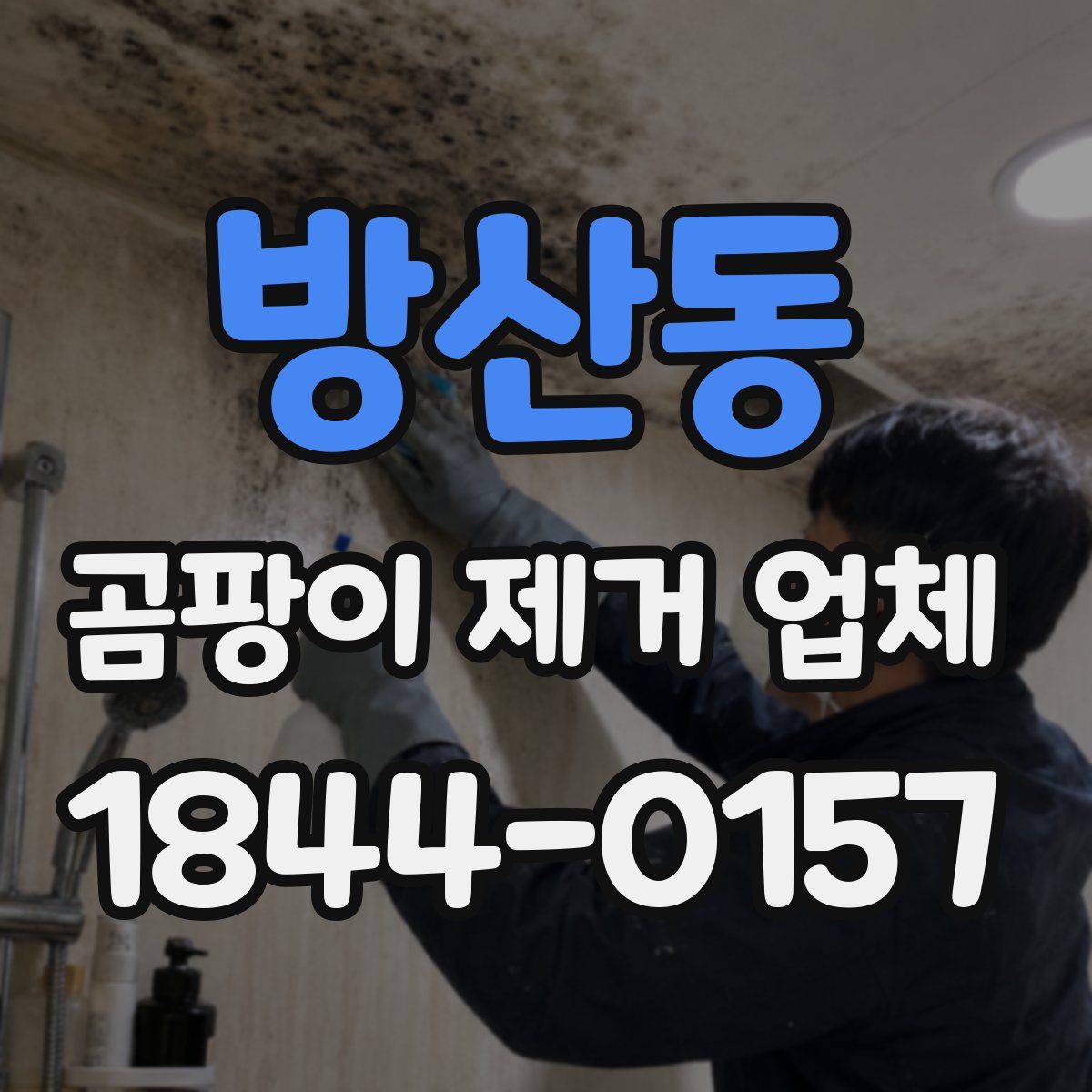 방산동 곰팡이 제거 업체