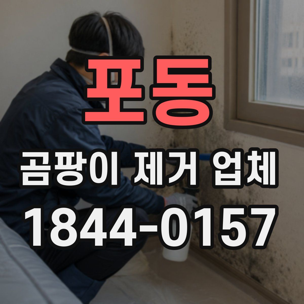 포동 곰팡이 제거 업체
