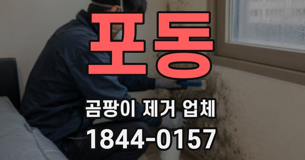포동 곰팡이 제거 업체