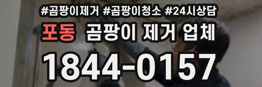포동 곰팡이 제거 업체