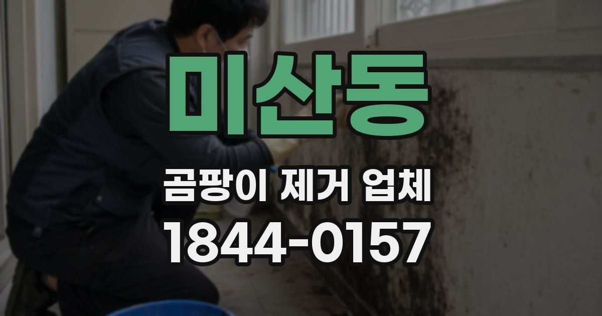 미산동 곰팡이 제거 업체