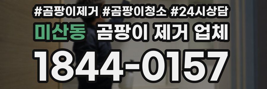 미산동 곰팡이 제거 업체