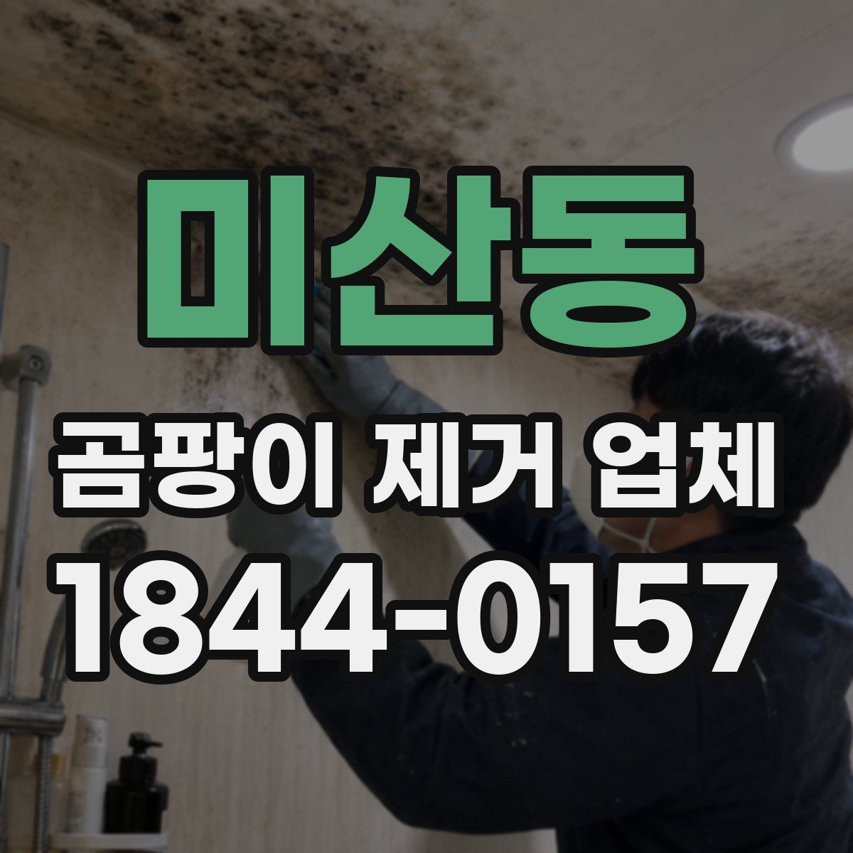 미산동 곰팡이 제거 업체
