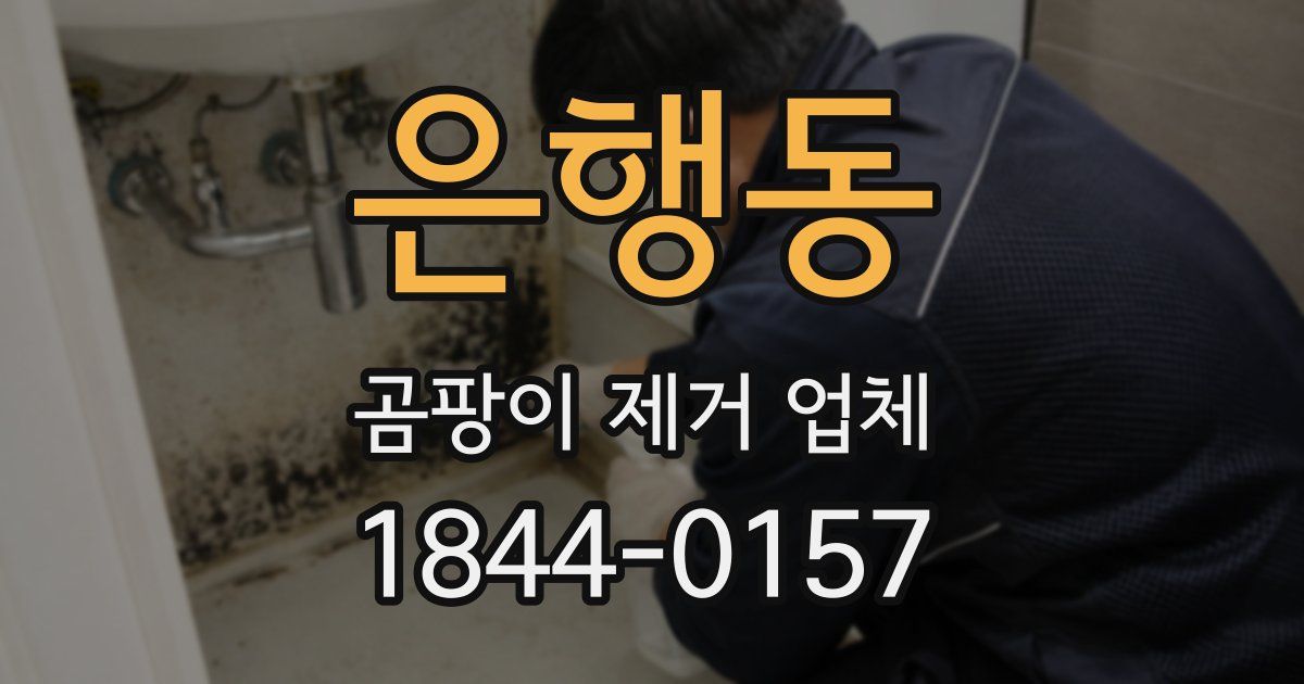 은행동 곰팡이 제거 업체