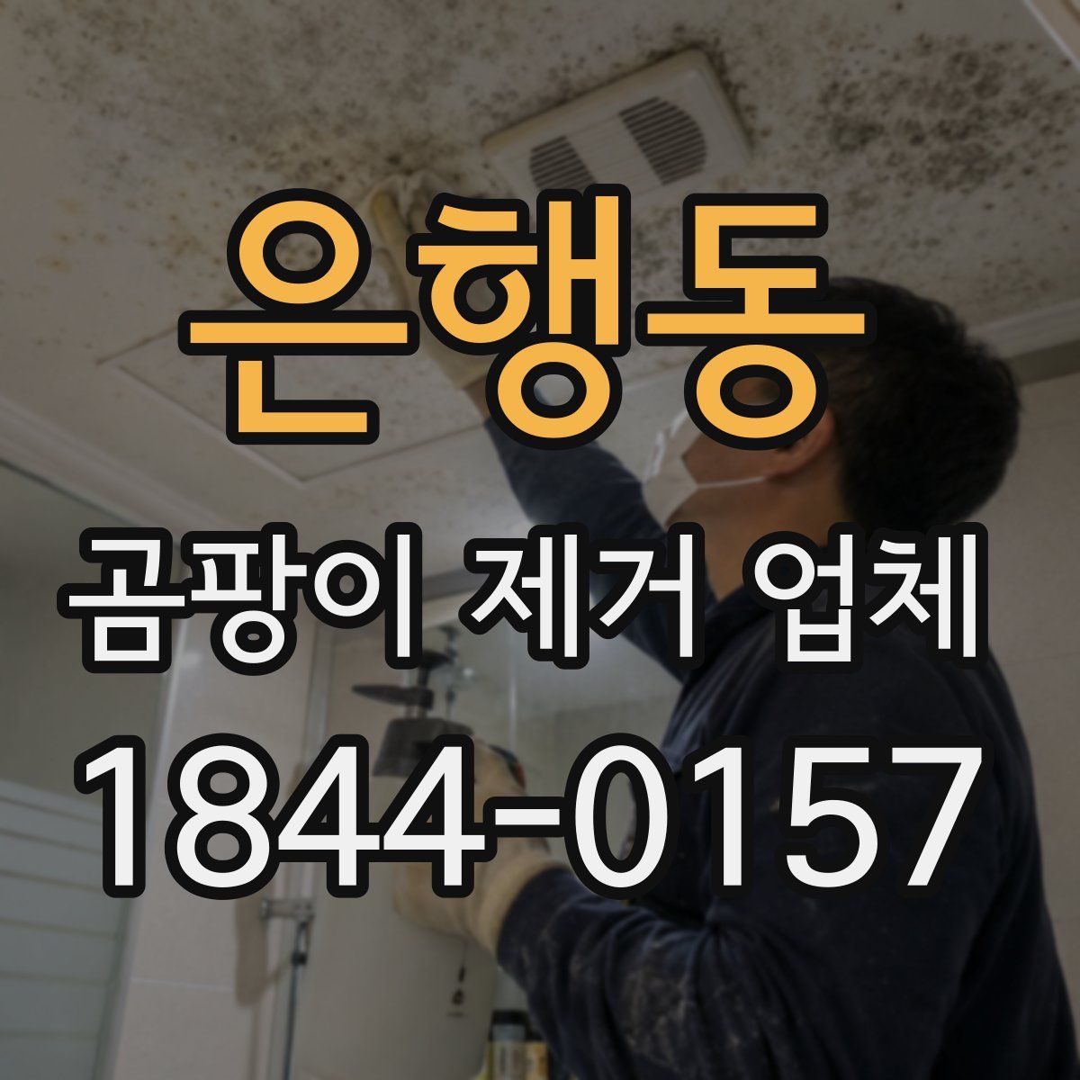 은행동 곰팡이 제거 업체
