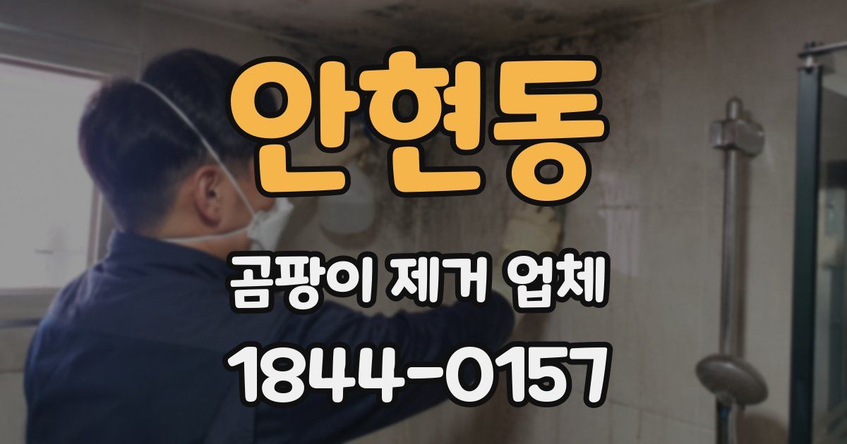 안현동 곰팡이 제거 업체