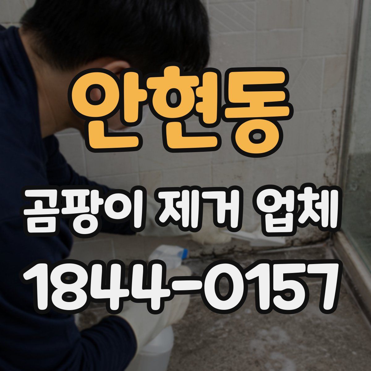 안현동 곰팡이 제거 업체