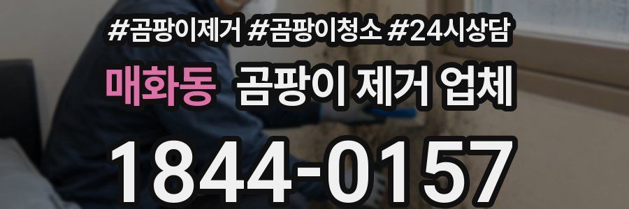 매화동 곰팡이 제거 업체