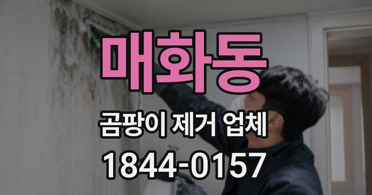 매화동 곰팡이 제거 업체